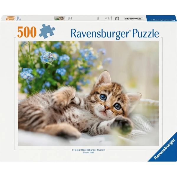 Süsses Kätzchen - 500 Teile