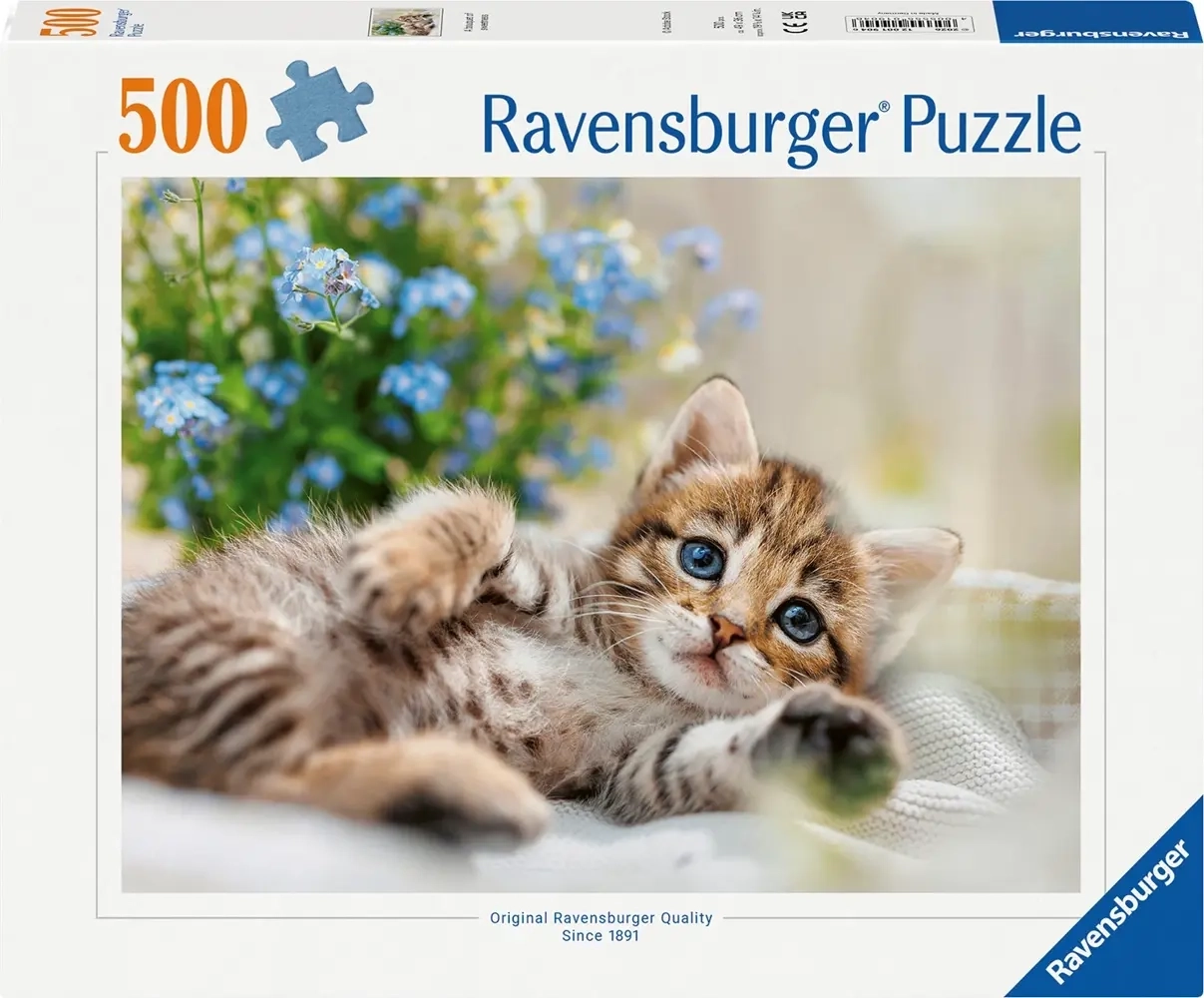 Süsses Kätzchen - 500 Teile