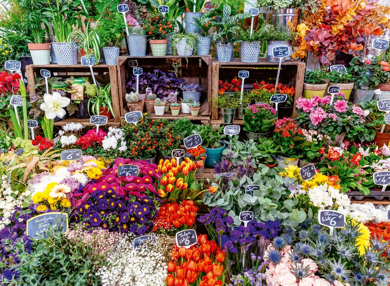 Bunte Märkte: Blumenmarkt in Frankreich - 500 Teile