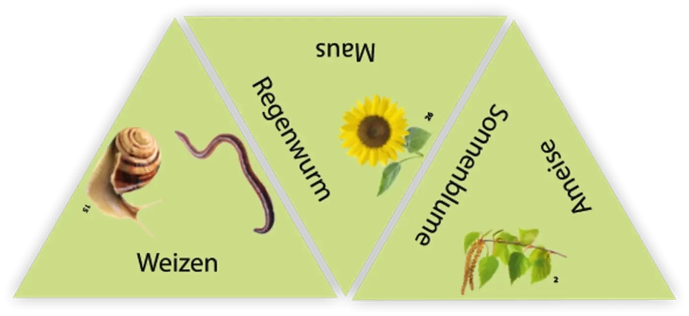 Learning Star: Natur - DE