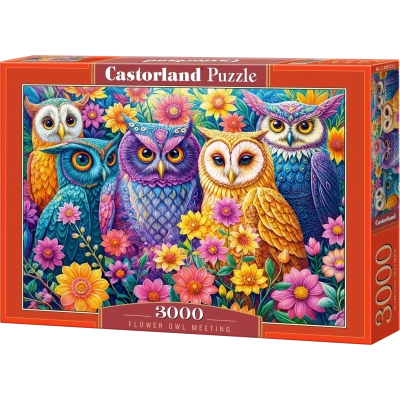 Flower Owl Meeting - 3000 Teile