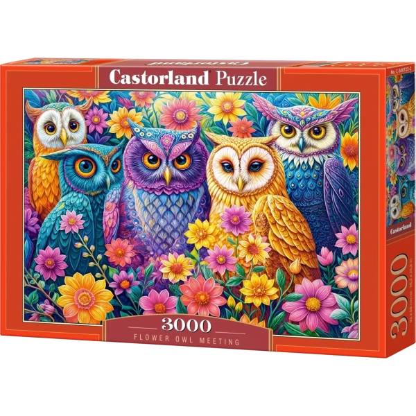 Flower Owl Meeting - 3000 Teile