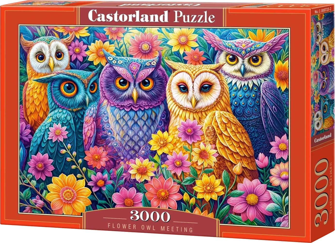 Flower Owl Meeting - 3000 Teile