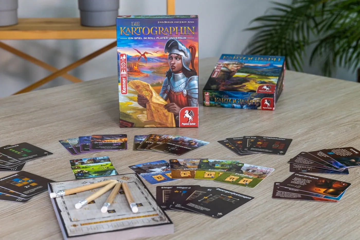 Die Kartographin
