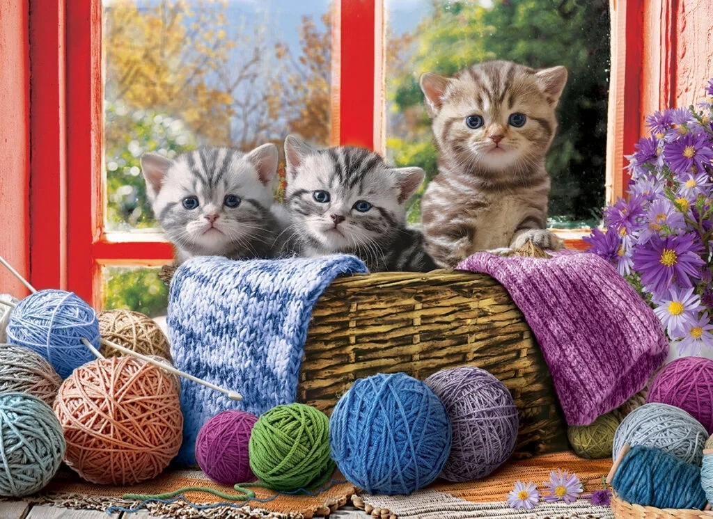Strickende Katzen - XXL Teile