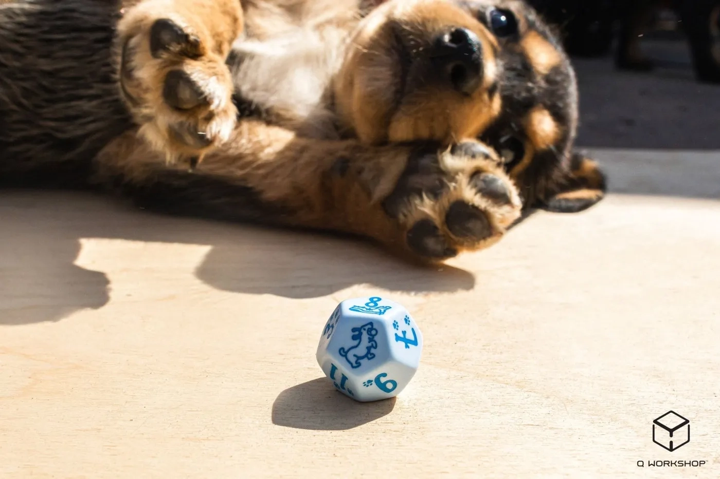 DOGS Dice Set Max