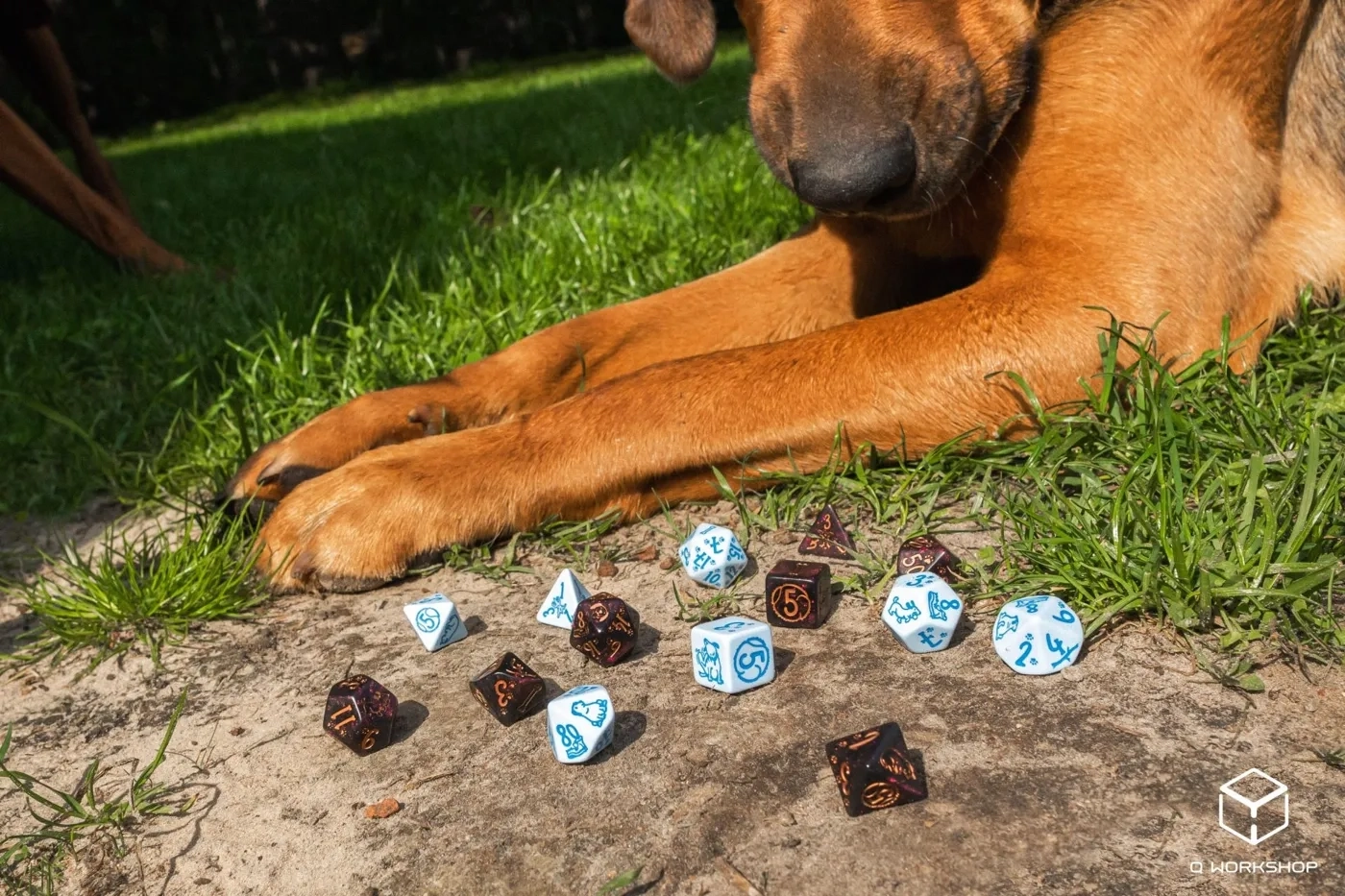 DOGS Dice Set Max