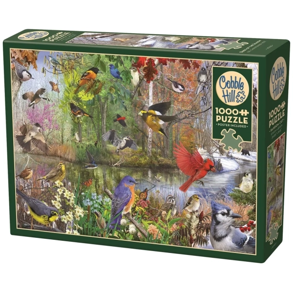 Birds of the Season - Christopher Vest