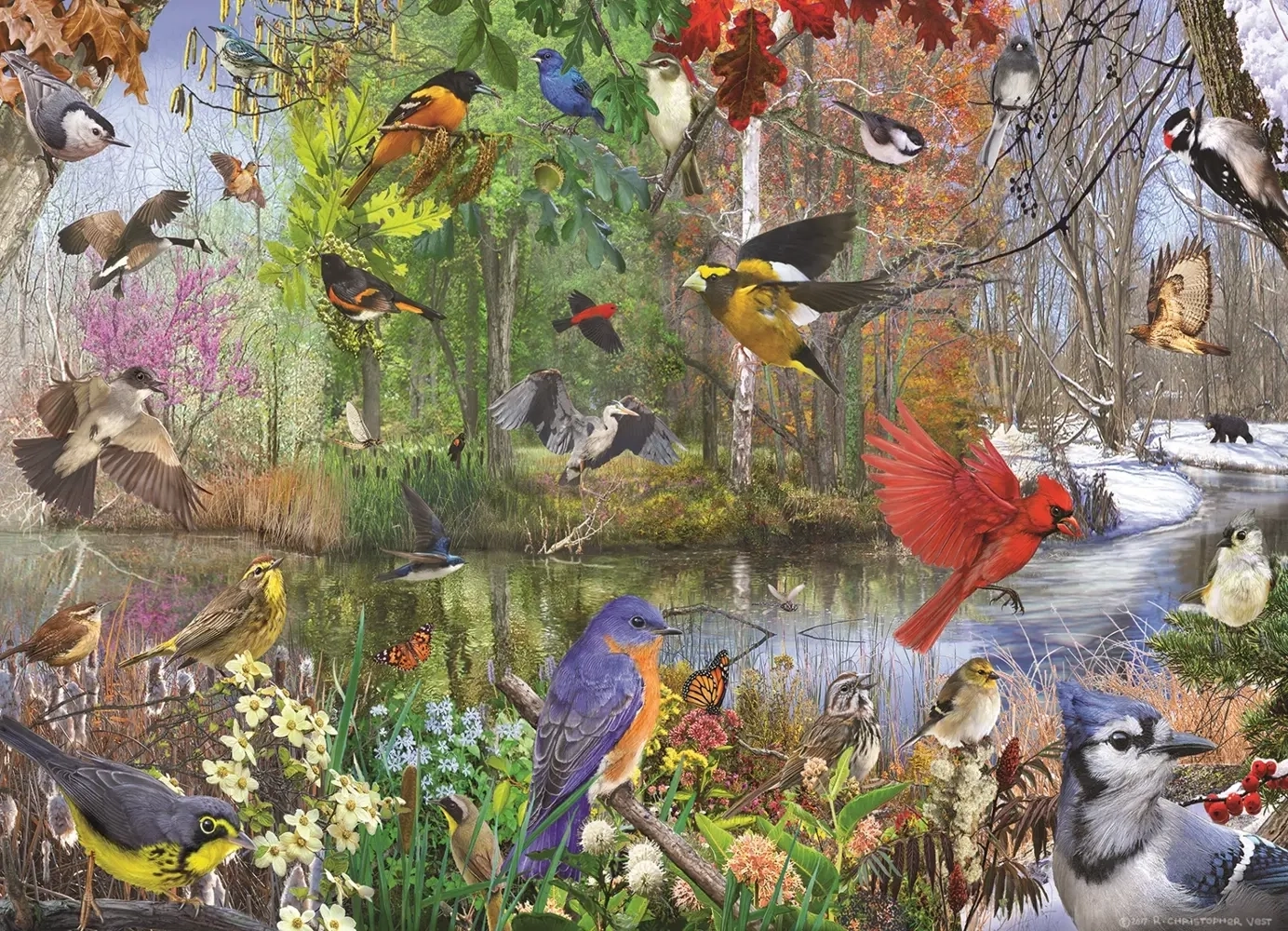 Birds of the Season - Christopher Vest