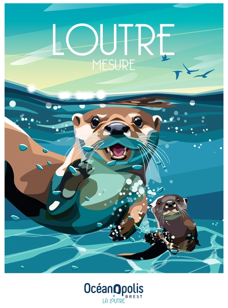 Loutre Mesure