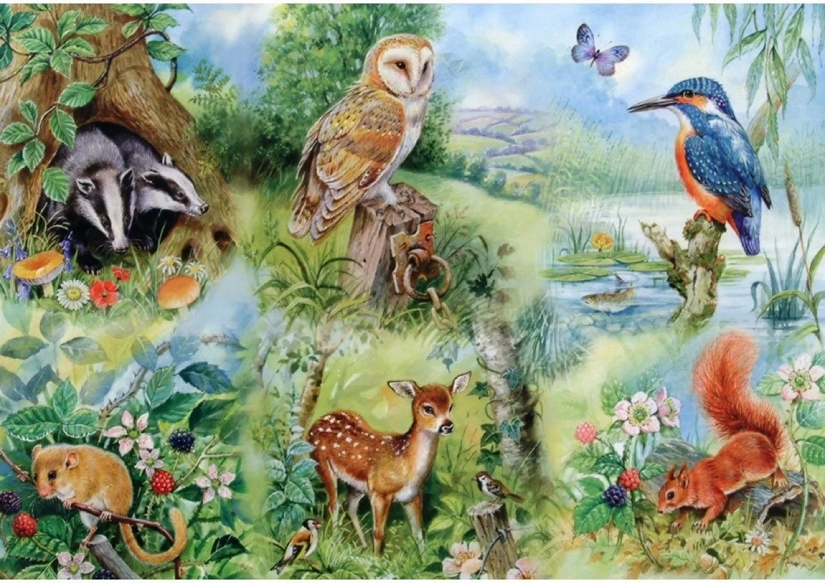 Nature Study - XXL Teile