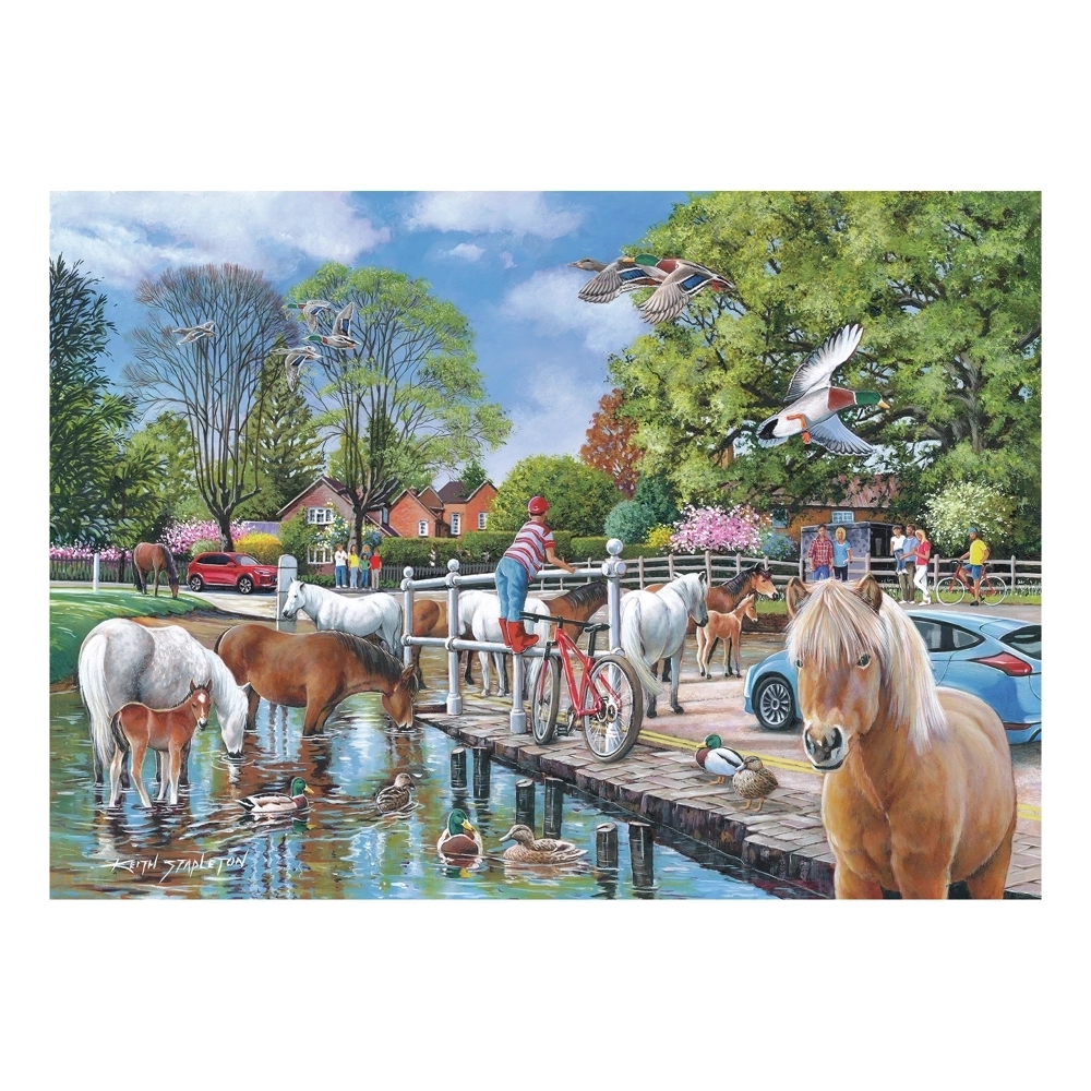 New Forest Ponies