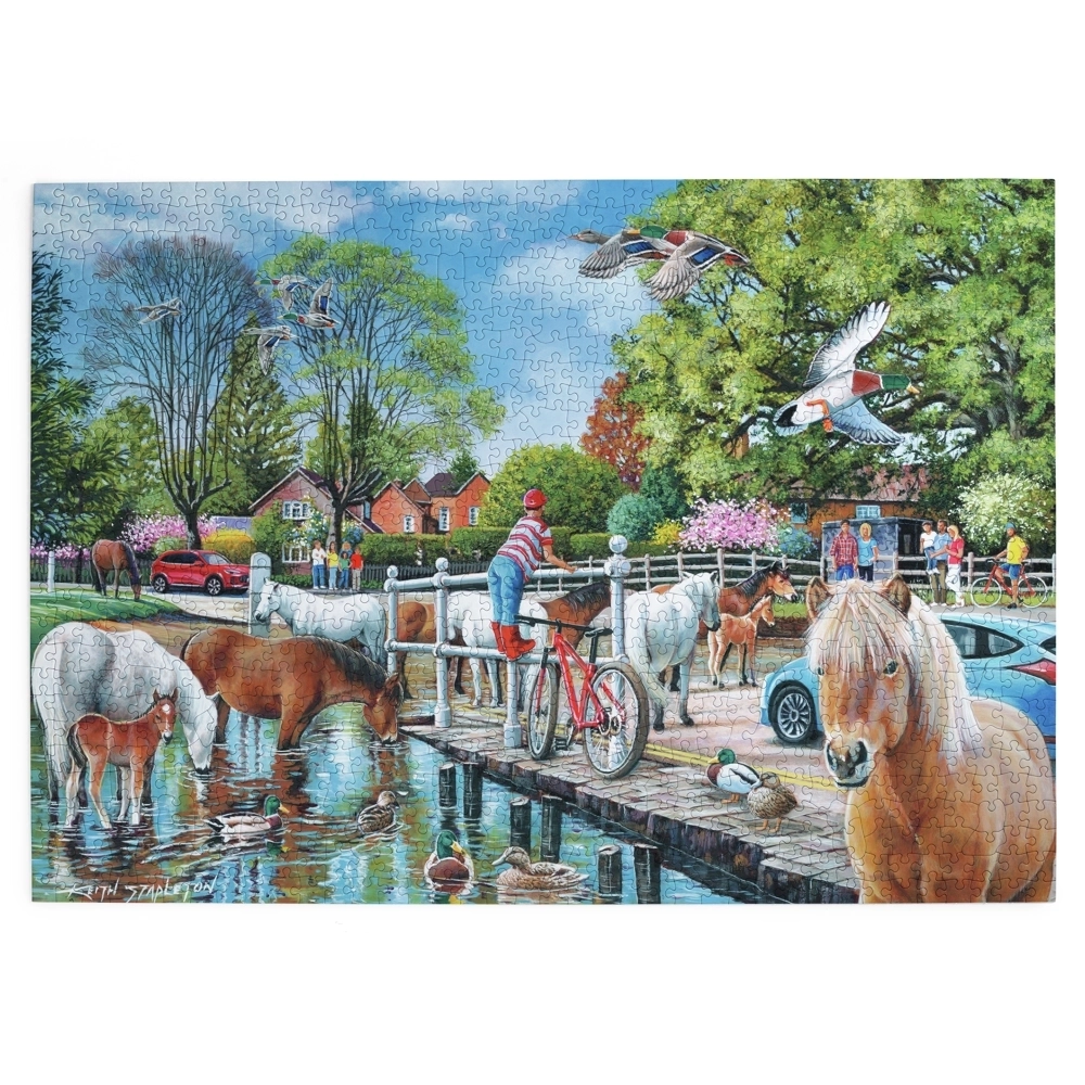 New Forest Ponies