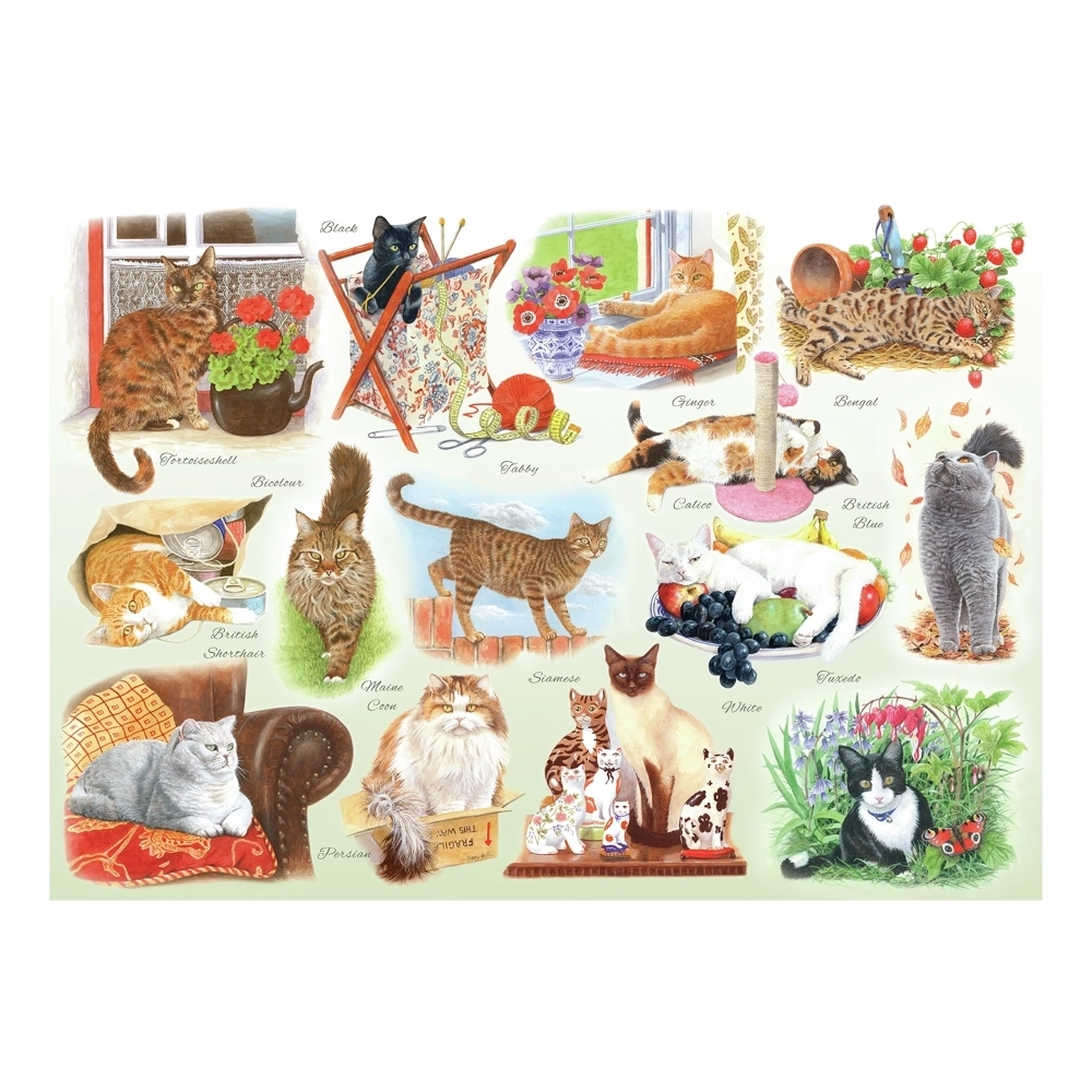 A Clowder of Cats - XXL Teile