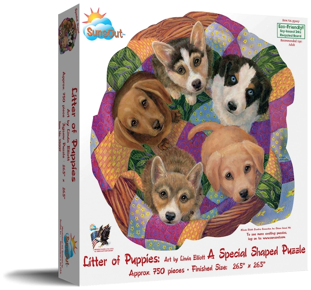 Litter of Puppies