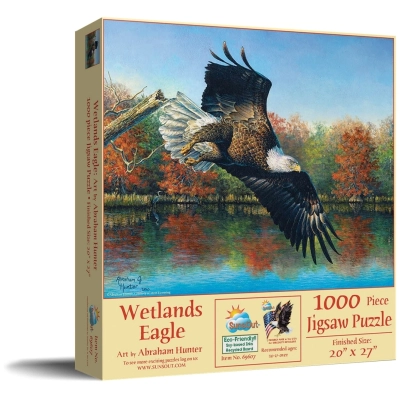 Wetlands Eagle - Abraham Hunter