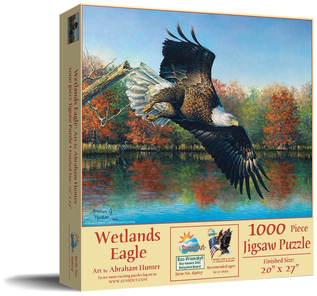 Wetlands Eagle - Abraham Hunter