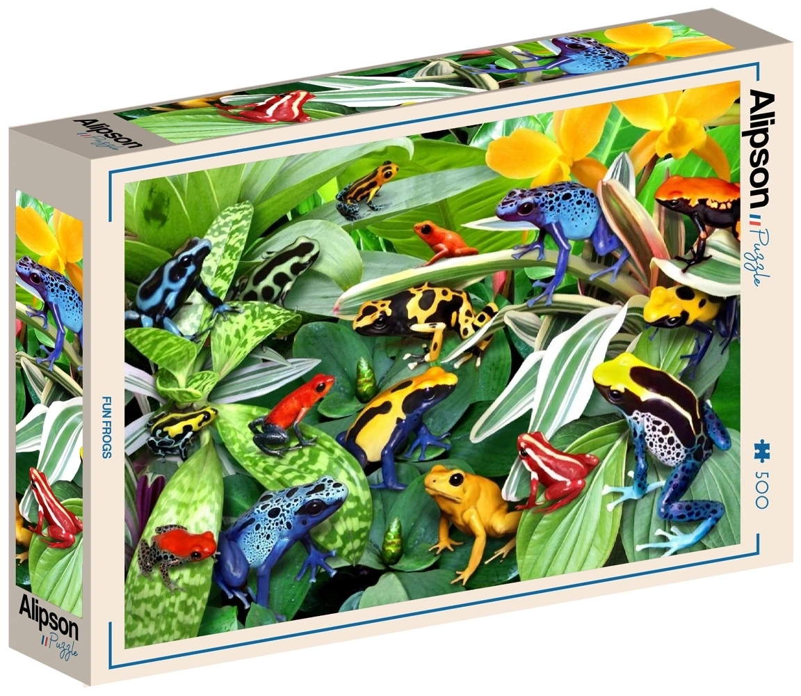 Fun Frogs