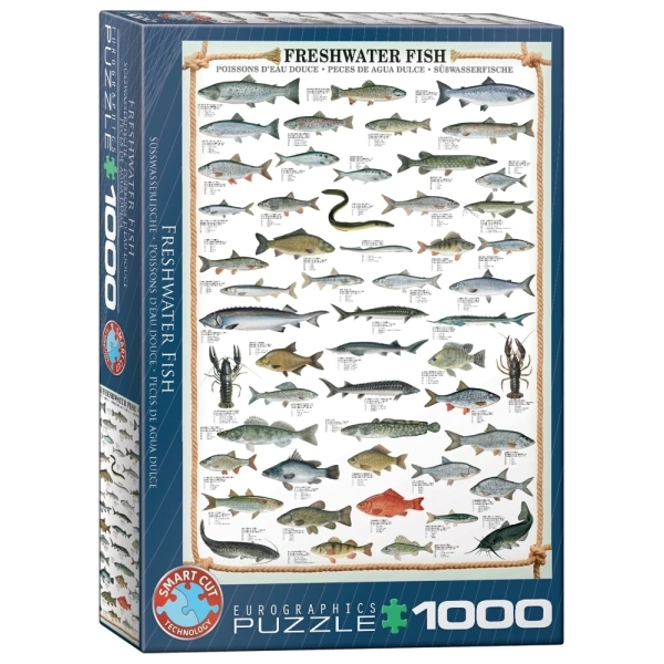 Süsswasserfische