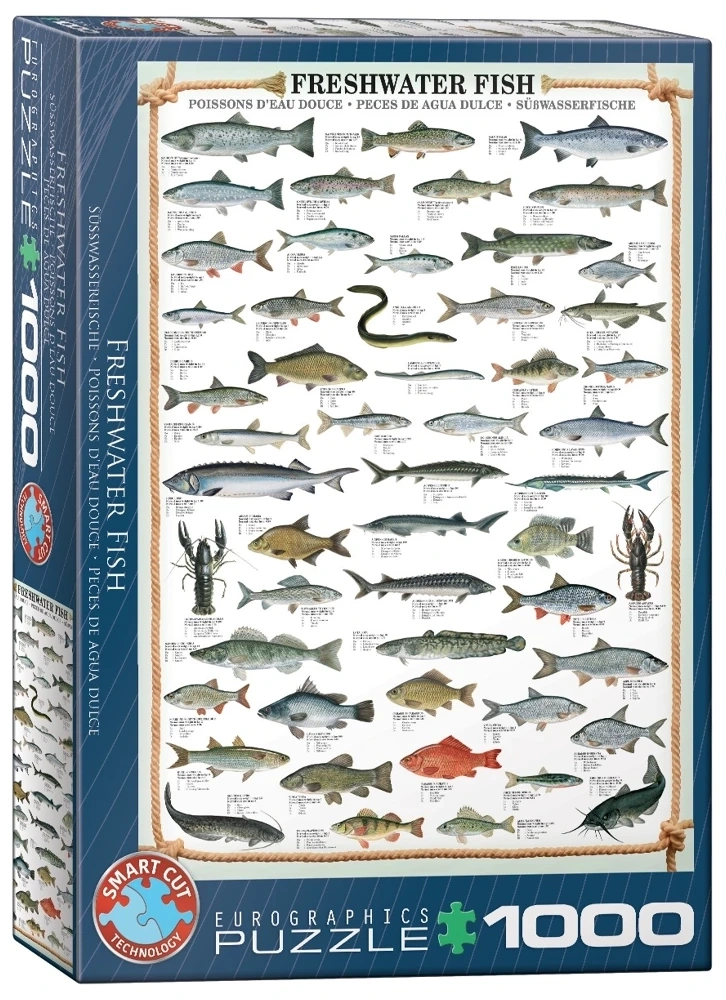 Süsswasserfische
