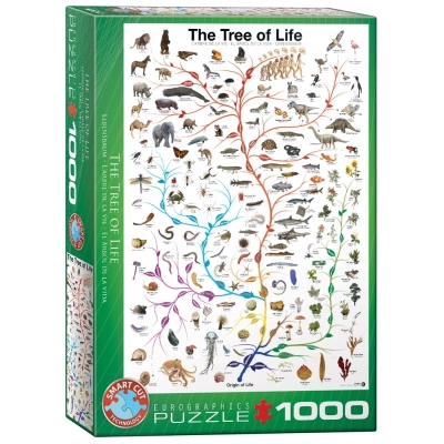 Die Evolution - Der Baum des Lebens