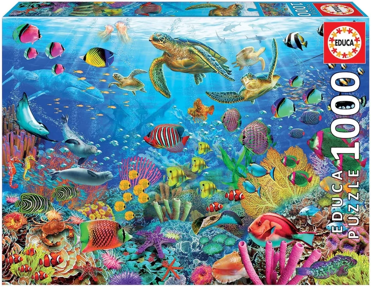 Unterwasserwelt