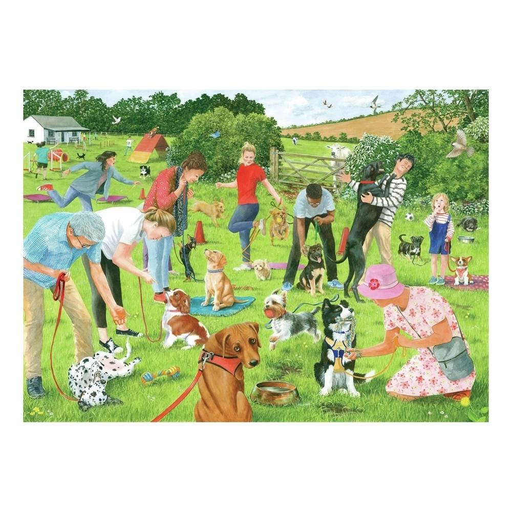 Puppy School