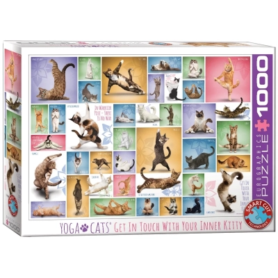 Collage - Yoga Katzen