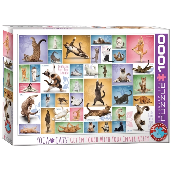 Collage - Yoga Katzen