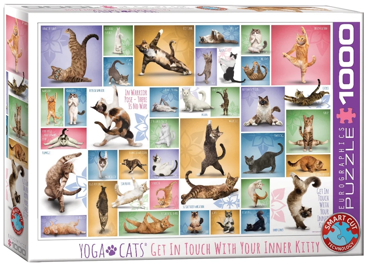 Collage - Yoga Katzen