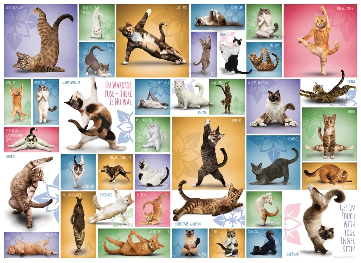 Collage - Yoga Katzen