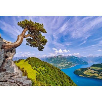 Blick auf den Urnersee, Schweiz