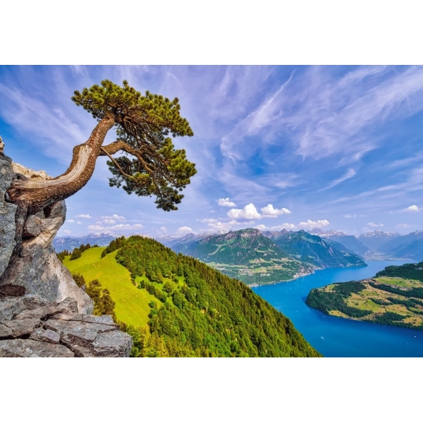 Blick auf den Urnersee, Schweiz