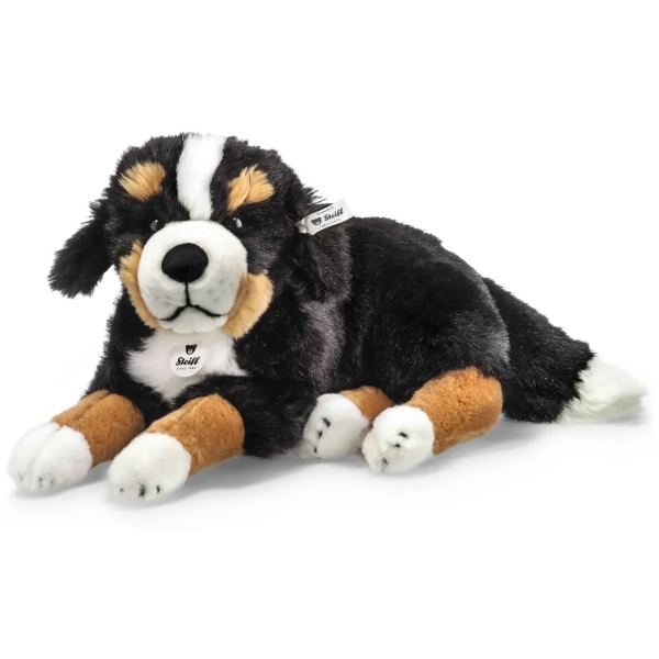 Senni Berner Sennenhund - schwarz - 45 cm