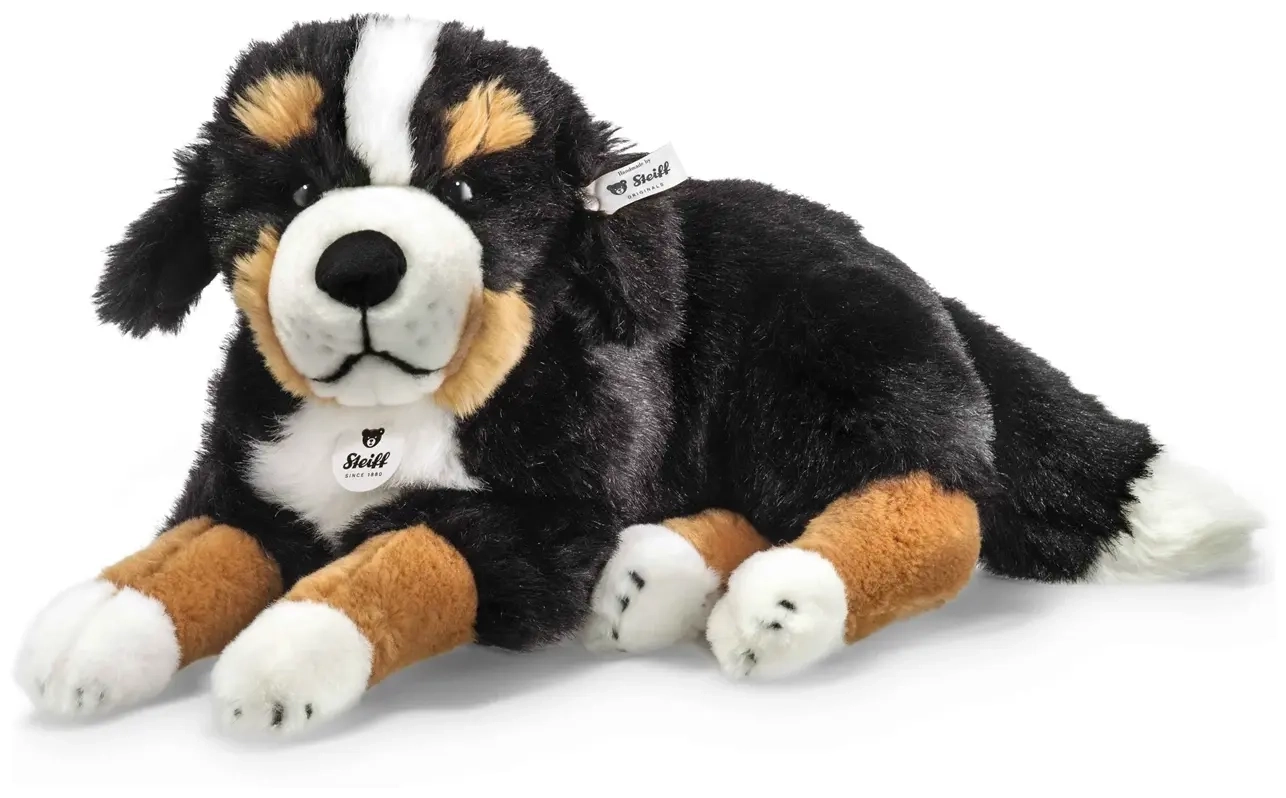 Senni Berner Sennenhund - schwarz - 45 cm
