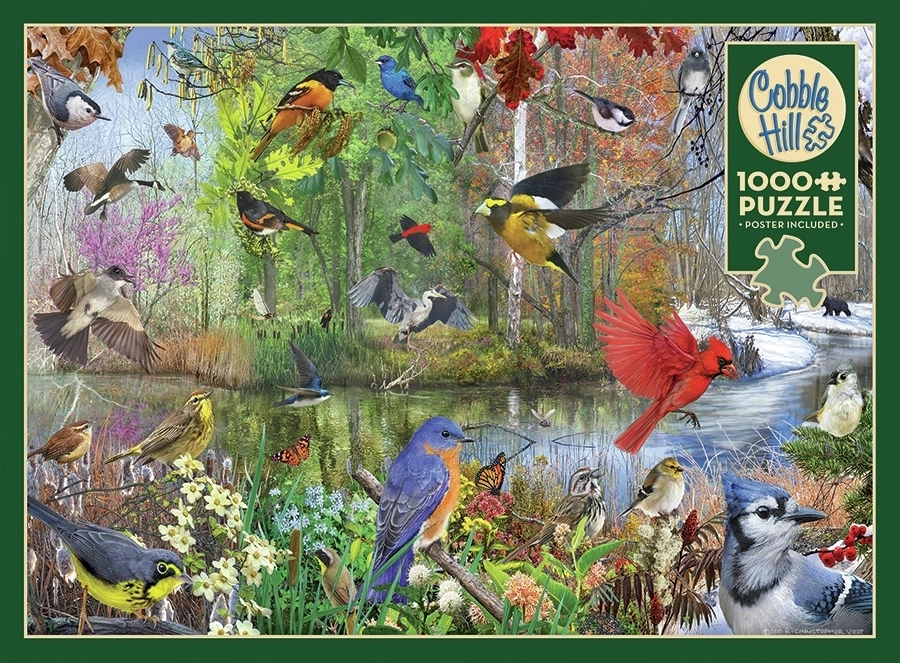 Birds of the Season - Christopher Vest