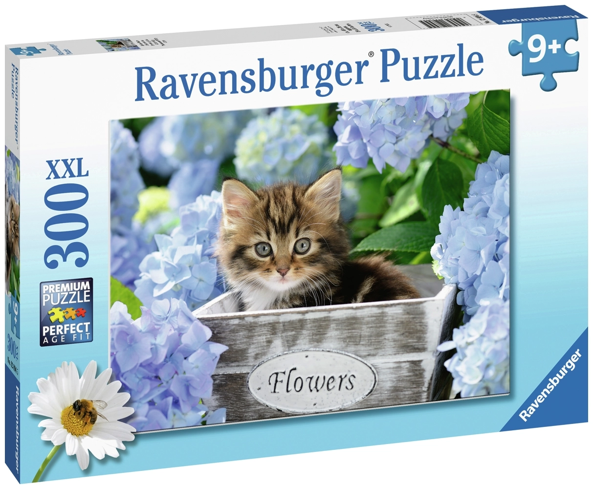 Kleine Katze