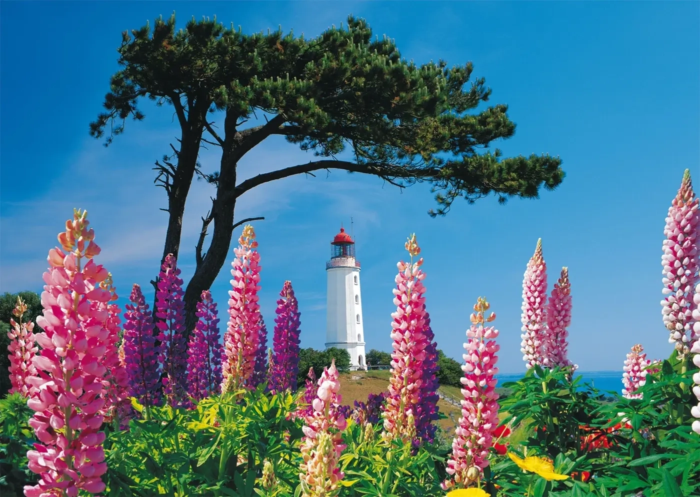 Leuchtturm Dornbusch, Hiddensee