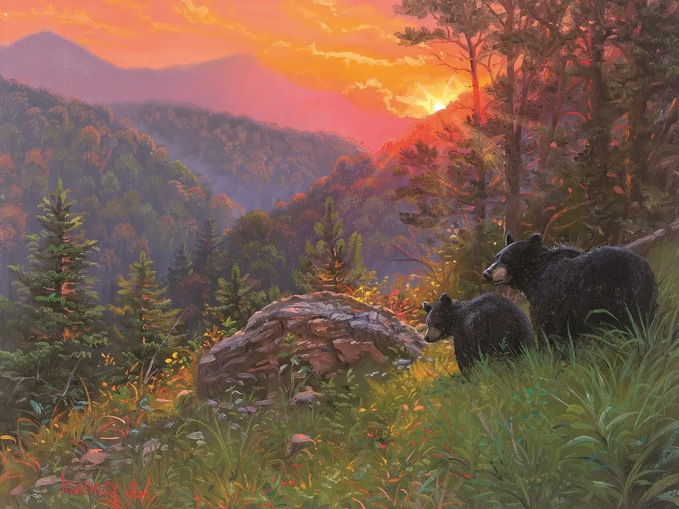 Bären beim Sonnenuntergang