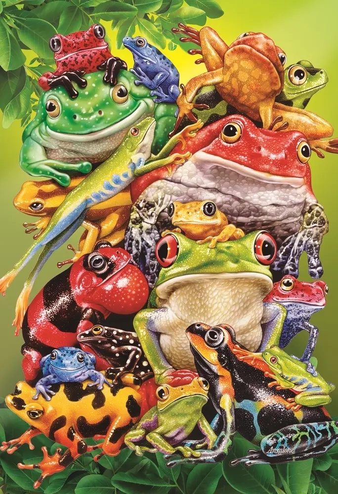Frog Business - 100 Teile - XXL