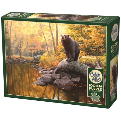 Schwarzbär am Teich