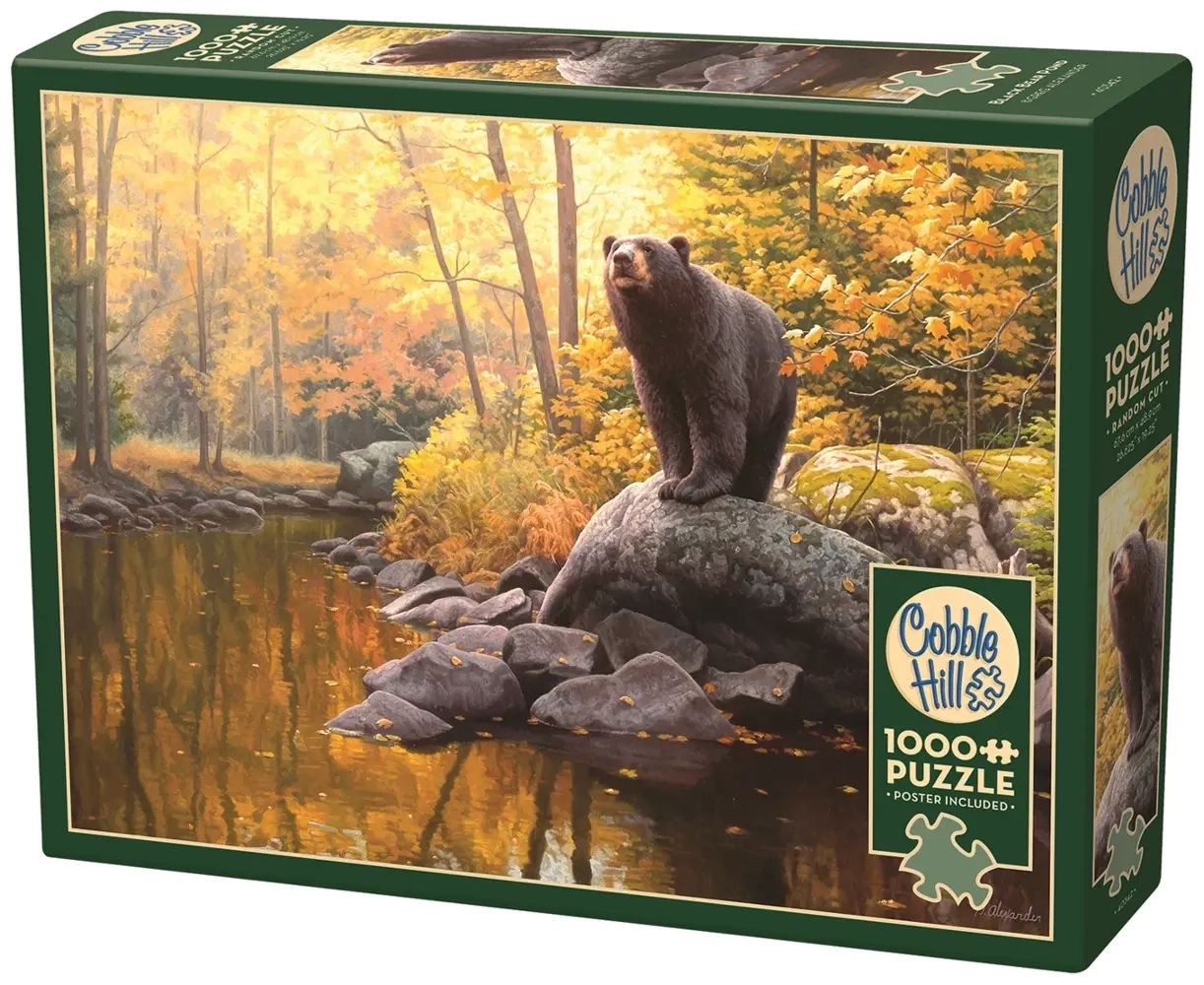 Schwarzbär am Teich
