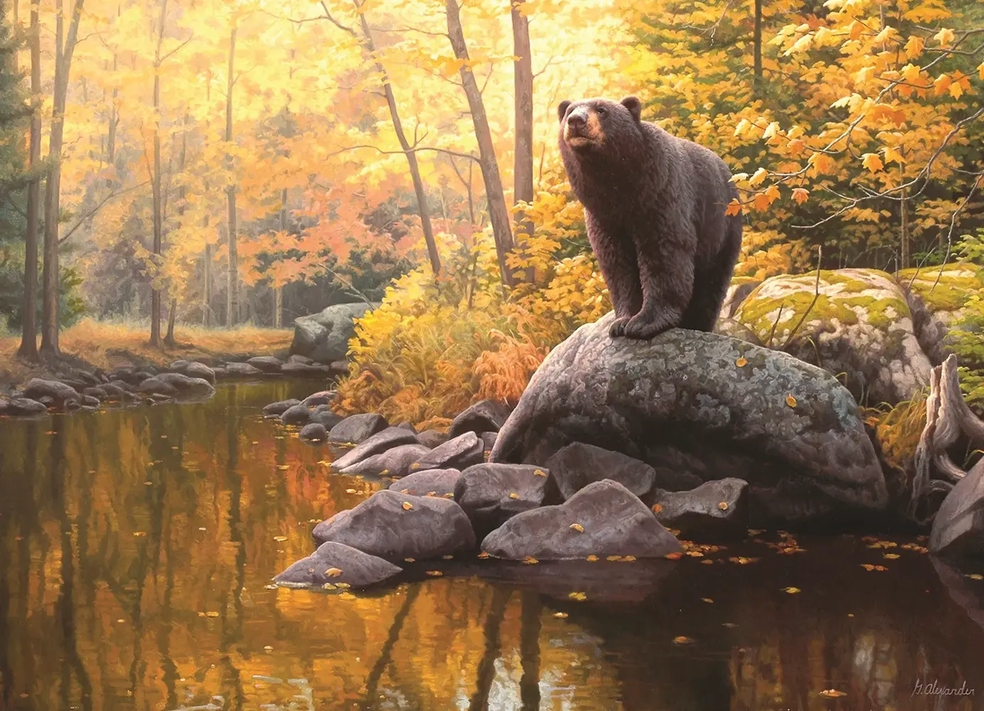 Schwarzbär am Teich