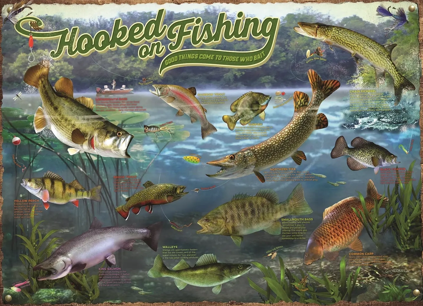 Fische im See