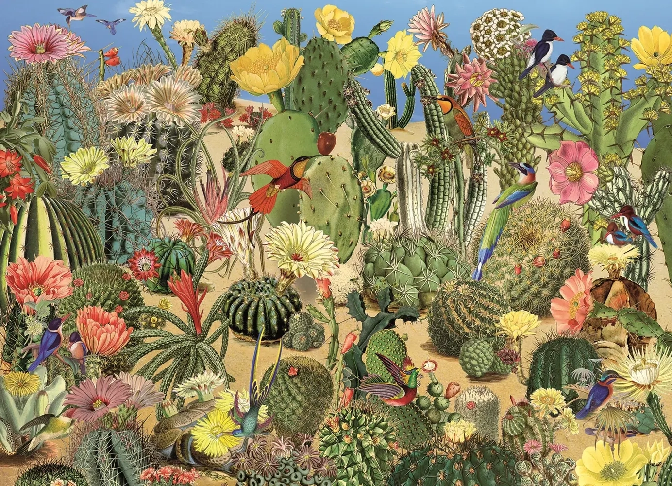 Cactus Garden