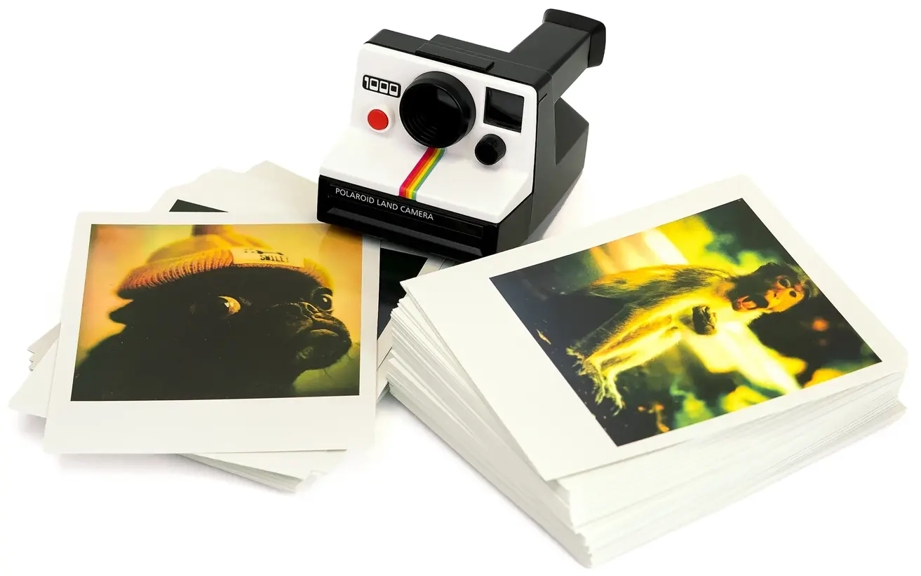 Polaroid - DE/FR