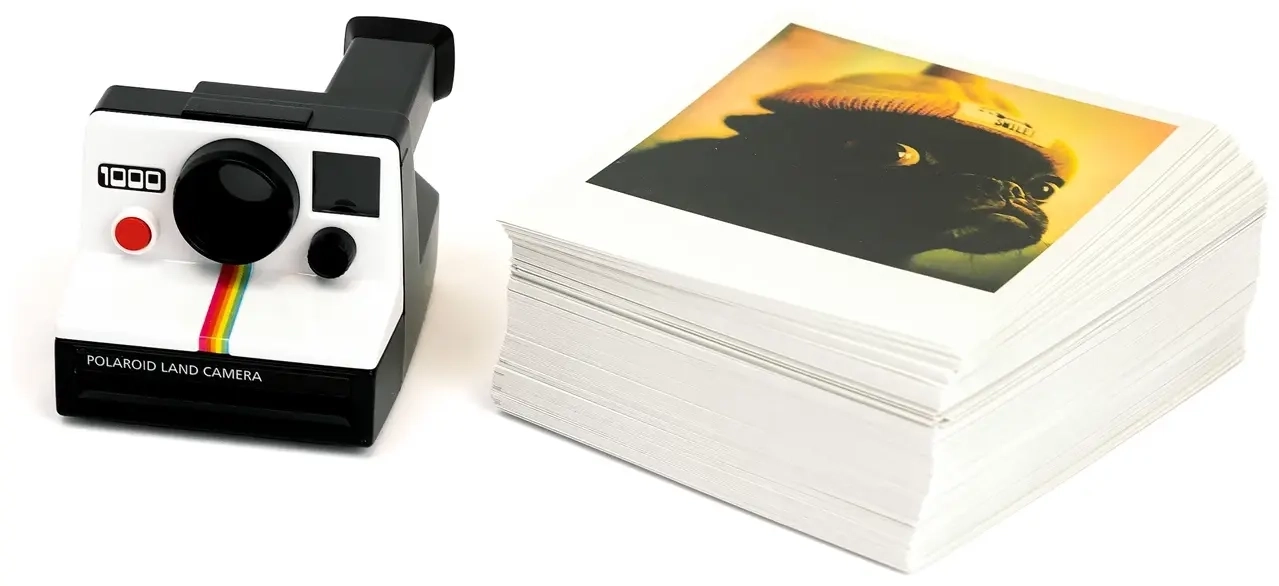 Polaroid - DE/FR