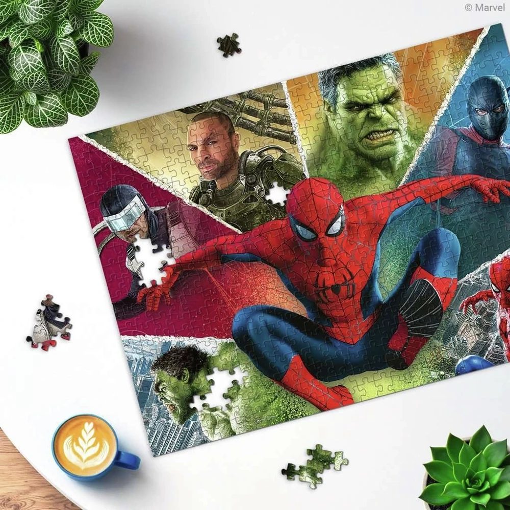 Spider-Man Brand New Day Film