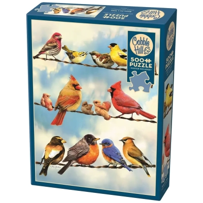 Bunte Vögel auf der Freileitung - mit Poster