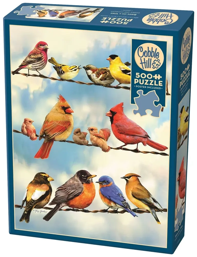 Bunte Vögel auf der Freileitung - mit Poster